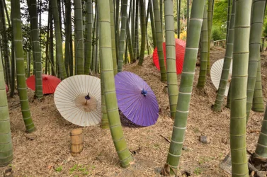 Kodai-ji ou Kodaijusho-Zenji - Kyoto, Japon - période Edo - temple bouddhiste - jardin de promenade avec étang et karesansui, jardin paysager sec - fondé en 1605 par Kita no Mandokoro, épouse de Toyotomi Hideyoshi